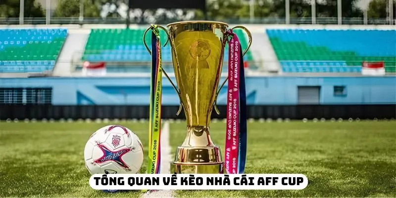 Mẹo soi kèo ASEAN CUP hiệu quả dành cho người mới