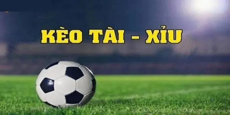 Tài xỉu 2 trái tại Cap88 phù hợp cho người chơi thiên hướng kiểm soát rủi ro
