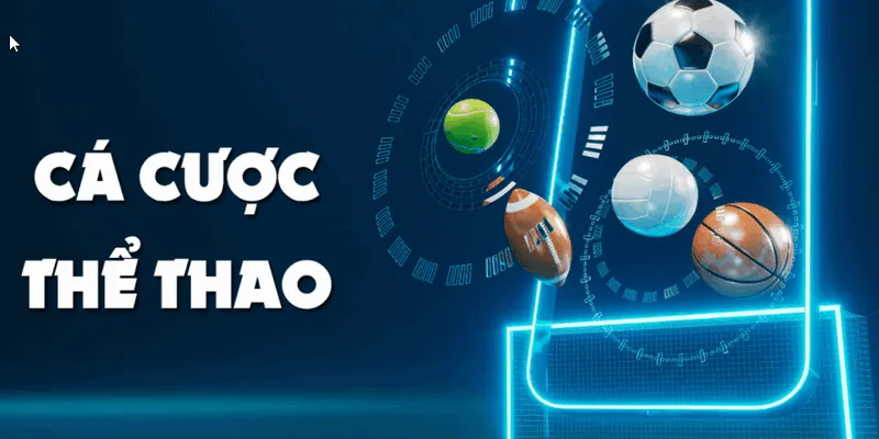 Tổng quan về một trang cá cược bóng đá uy tín 2025