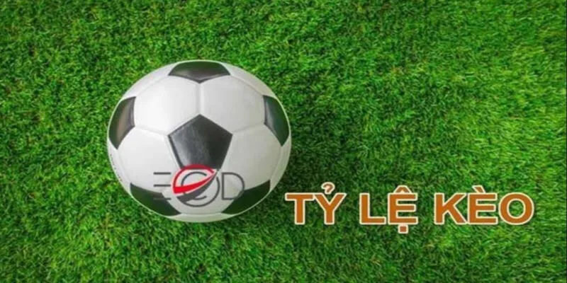 Tổng quan hấp dẫn về nhận định kèo nhà cái